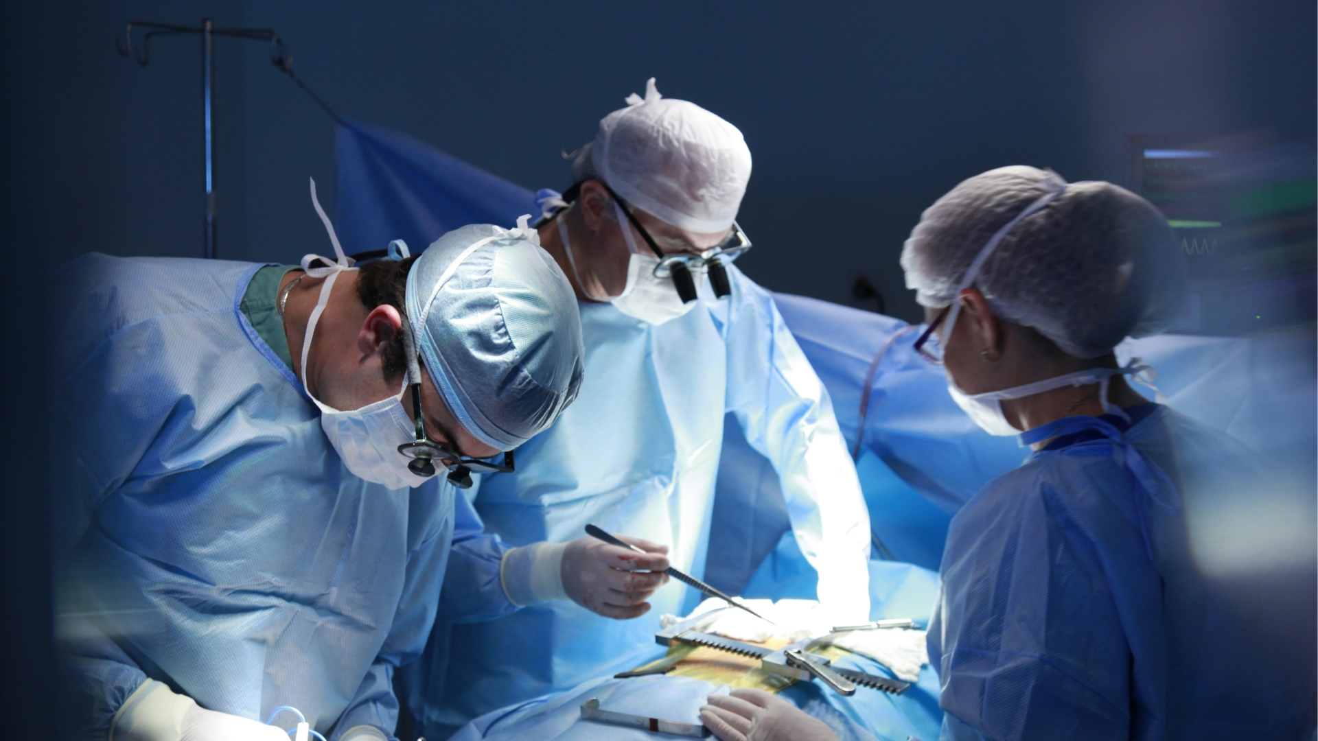 Teams, Abläufe und Zusammenarbeit bleiben verlässlich