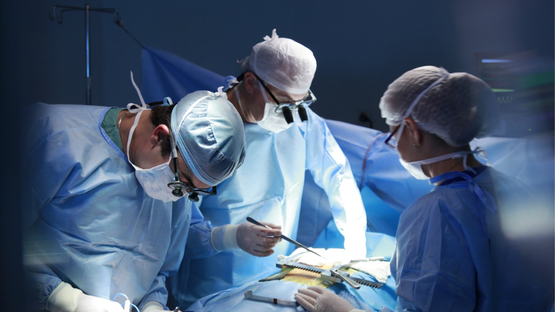 Mit dem richtigen Teamspirit die Leistung im Team steigern